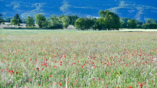  Maison � vendre 14 pi�ces 500 m�