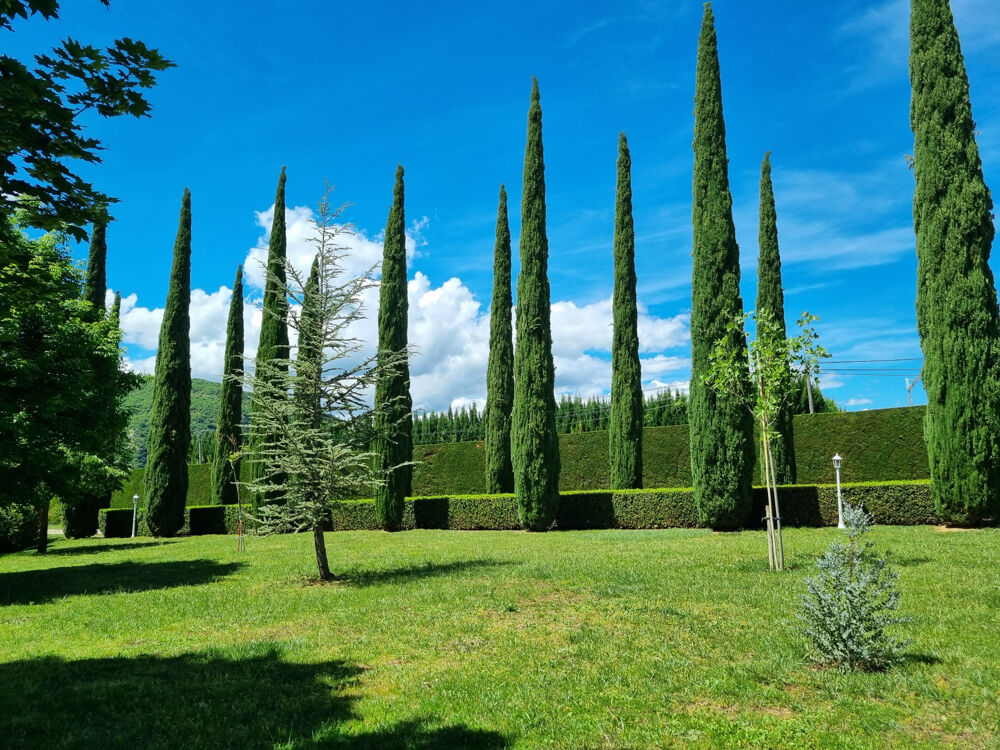 Vente Maison Propriété avec terrain et piscine Sisteron