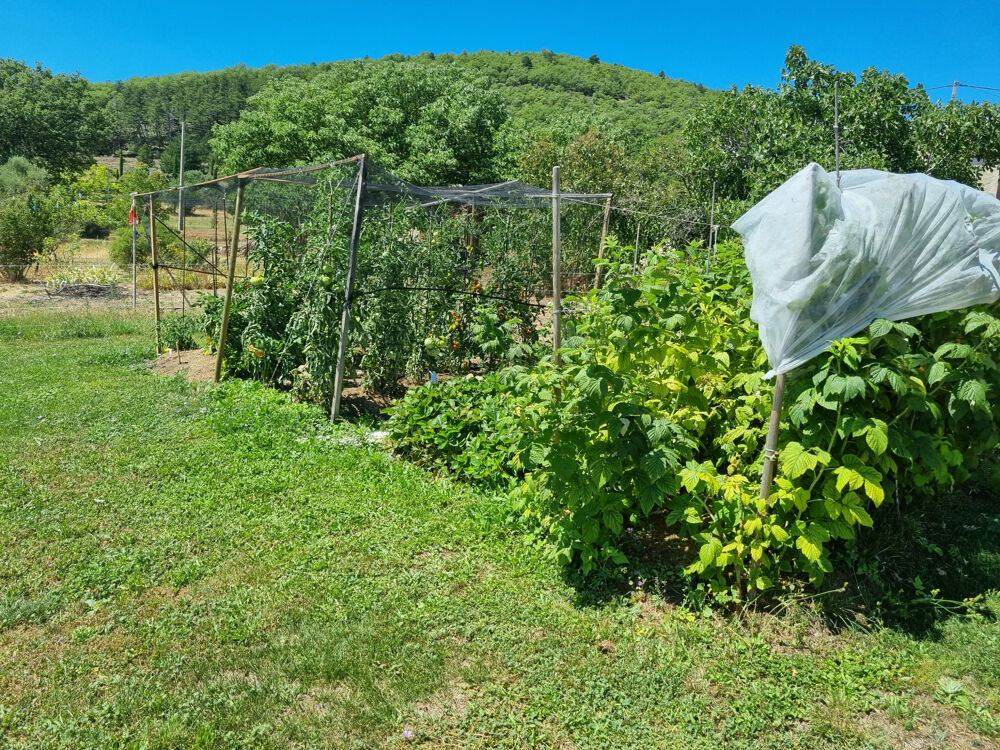 à vendre  Maison Forcalquier (04300)