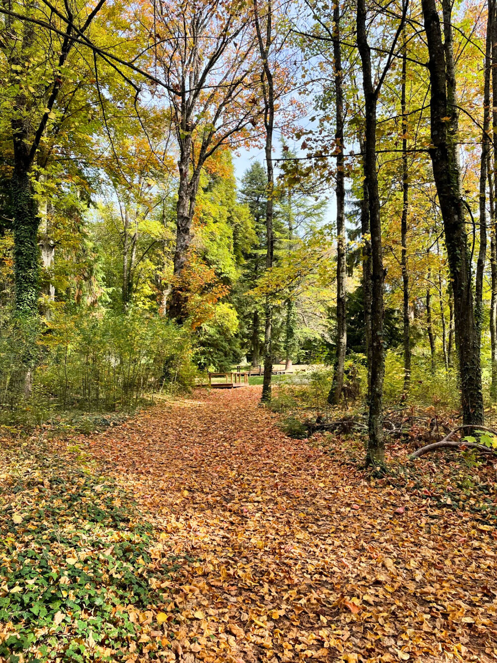 � vendre  Propri�t�/ch�teau 