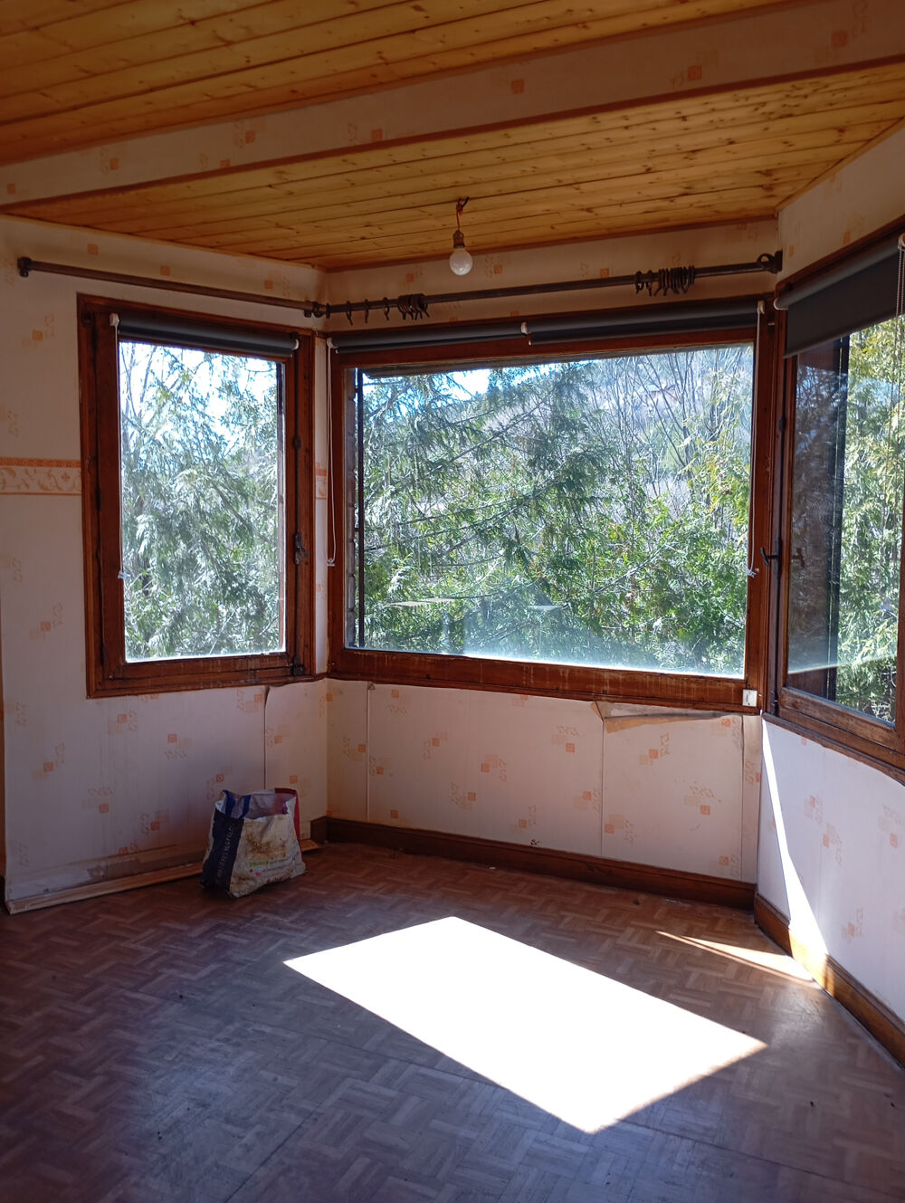 � vendre  Propri�t�/ch�teau Embrun (05200)