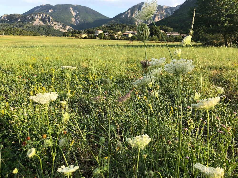 Propriété avec vue panoramique