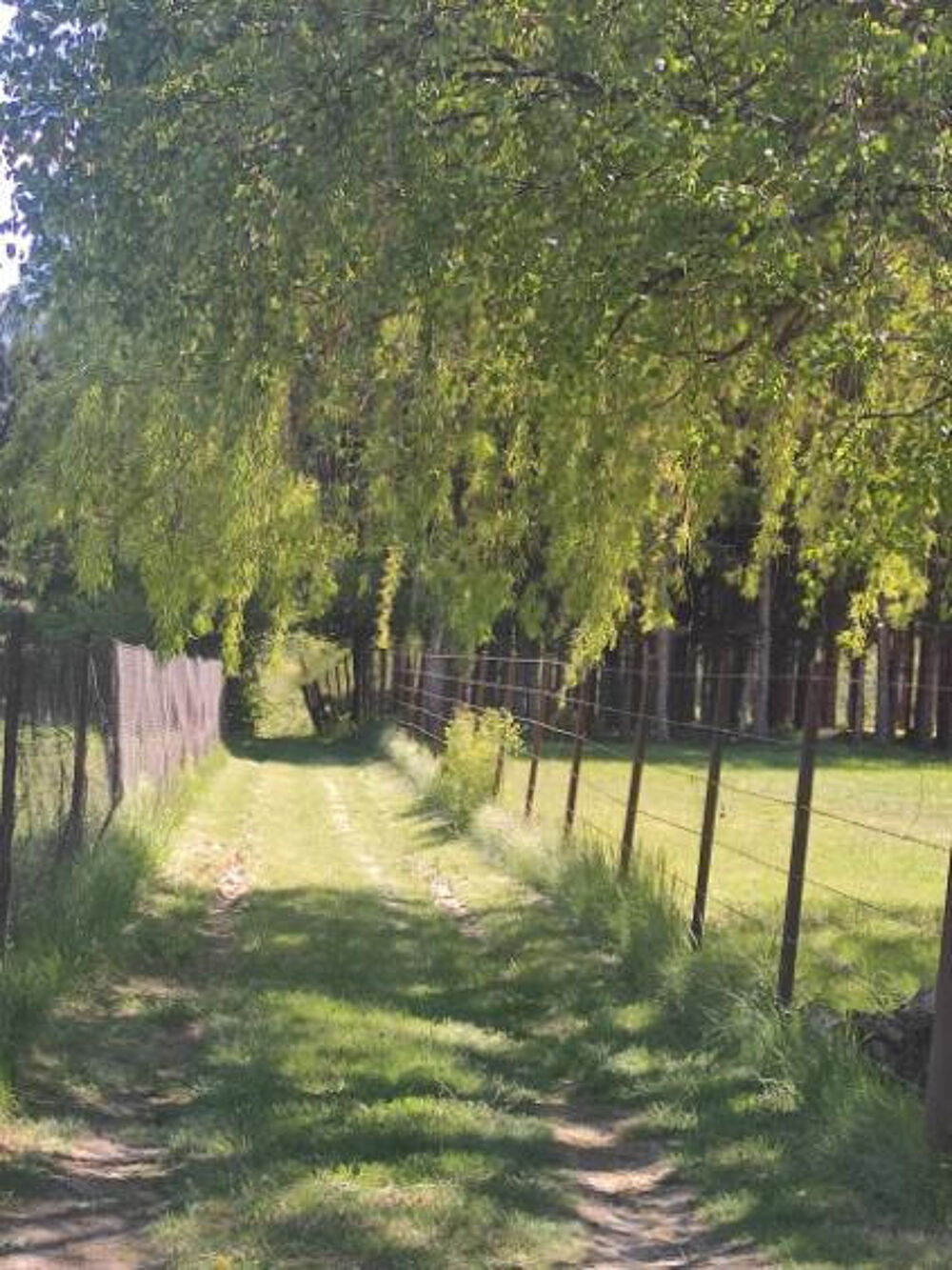 � vendre  Maison Veynes (05400)