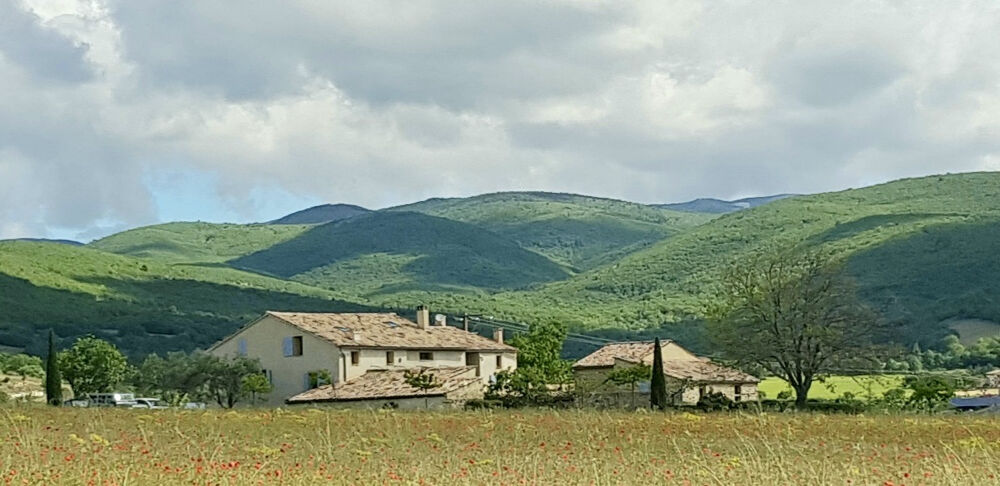 Vente Maison MAS RESTAURE avec Gîtes sur 8 hectares Forcalquier