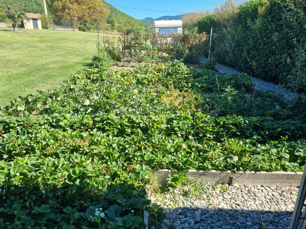 à vendre  Maison Forcalquier (04300)