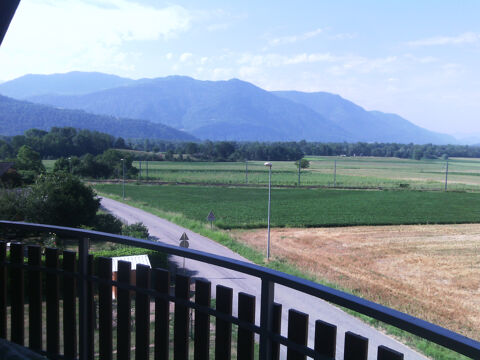  Appartement � louer 2 pi�ces 39 m�