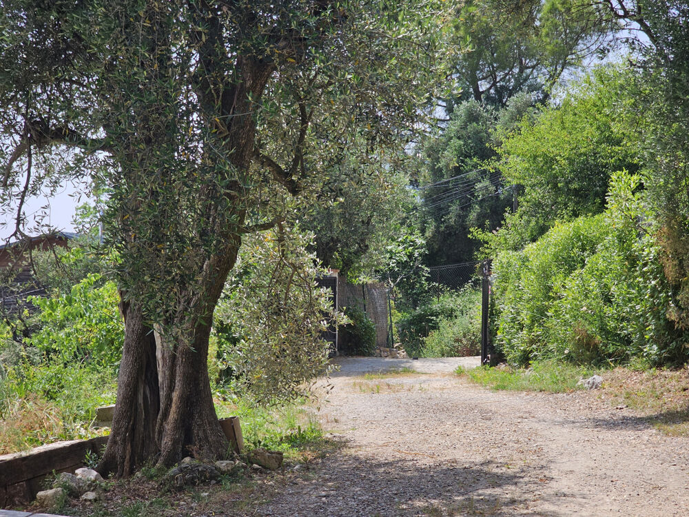  vendre  Maison Chteauneuf-Grasse (06740)