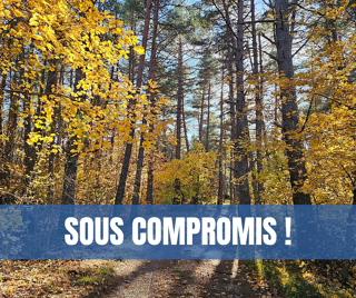  Terrain � vendre 50060 m�