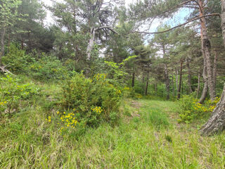  Terrain � vendre 2578 m�