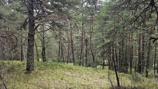  Terrain � vendre 10791 m�