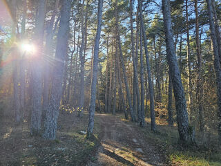  Terrain  vendre 50060 m