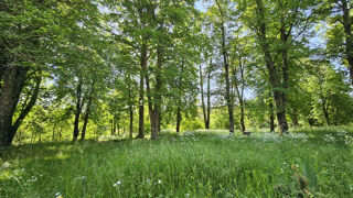  Maison  vendre 5 pices 200 m