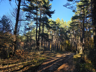  Terrain � vendre 50060 m�