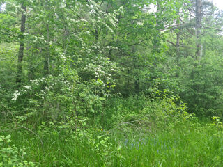  Terrain � vendre 1896 m�