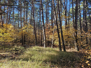  Terrain � vendre 50060 m�