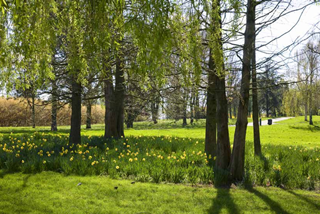  Appartement � vendre 4 pi�ces 88 m�