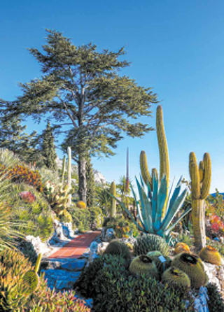  Appartement � vendre 3 pi�ces 71 m�