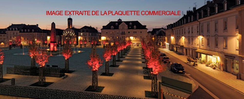 vente Duplex/triplex - 3 pièce(s) - 58 m² Huningue (68330)