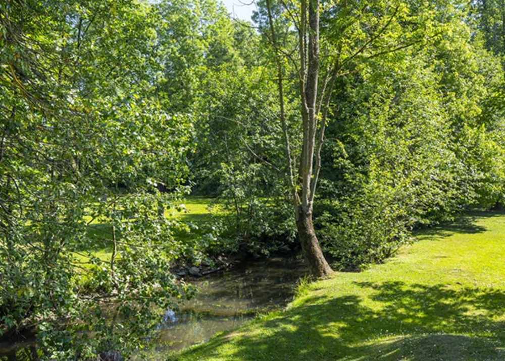   Tournan-en-Brie (77220)