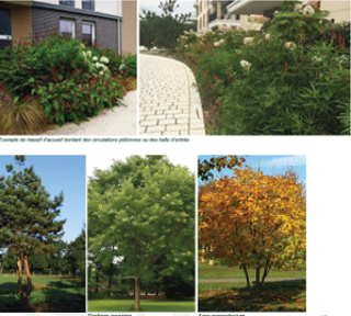  Appartement � vendre 4 pi�ces 79 m�