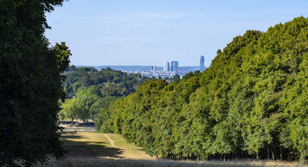 vente Appartement - 3 pice(s) - 68 m Toulouse (31500)