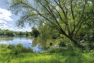  Appartement � vendre 3 pi�ces 72 m�