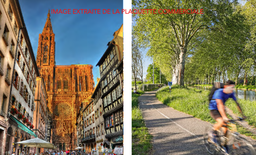 vente Appartement - 3 pièce(s) - 59 m² Strasbourg (67100)