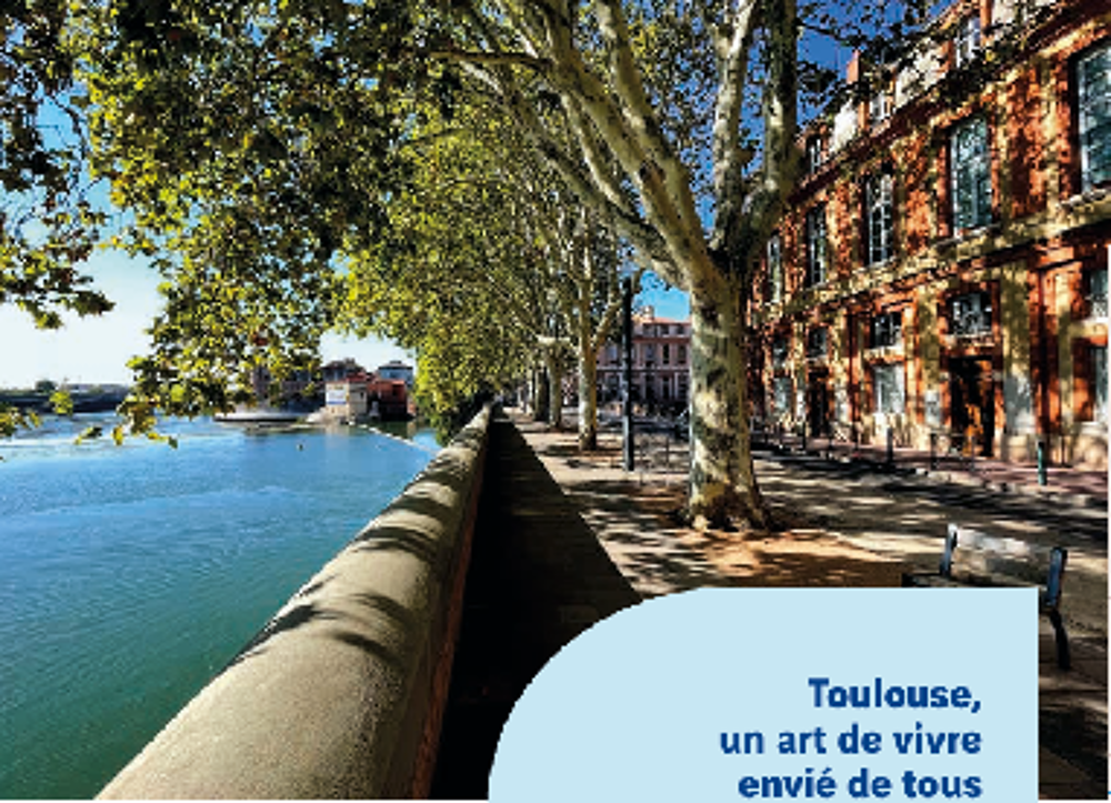   Blagnac (31700)