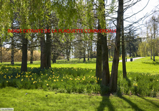  Appartement � vendre 2 pi�ces 40 m�