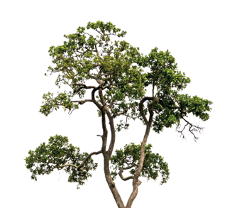  Appartement � vendre 3 pi�ces 57 m�