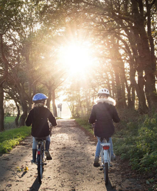  Appartement � vendre 2 pi�ces 45 m�