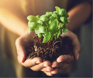  Appartement � vendre 2 pi�ces 41 m�