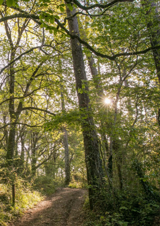  Appartement � vendre 2 pi�ces 42 m�