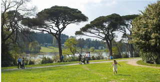  Appartement � vendre 4 pi�ces 82 m�