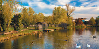  Appartement  vendre 2 pices 48 m