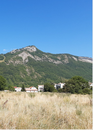  Appartement � vendre 3 pi�ces 61 m�