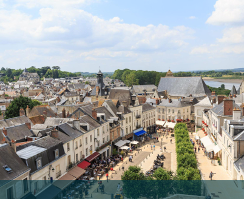 VVL20X 3 PIECES AMBOISE (37400) TVA INVESTISSEUR....