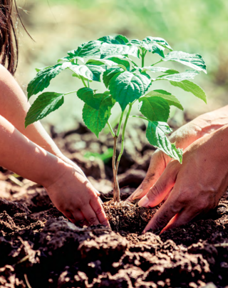  Appartement  vendre 3 pices 81 m