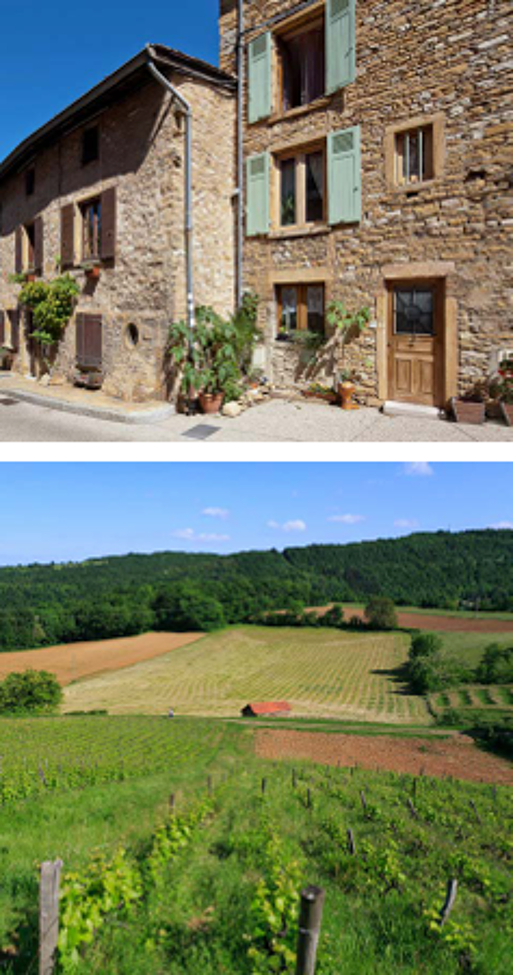   Saint-Romain-au-Mont-d'Or (69270)