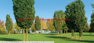  Appartement à vendre 3 pièces 60 m²