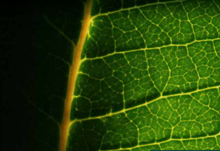  Appartement � vendre 3 pi�ces 77 m�