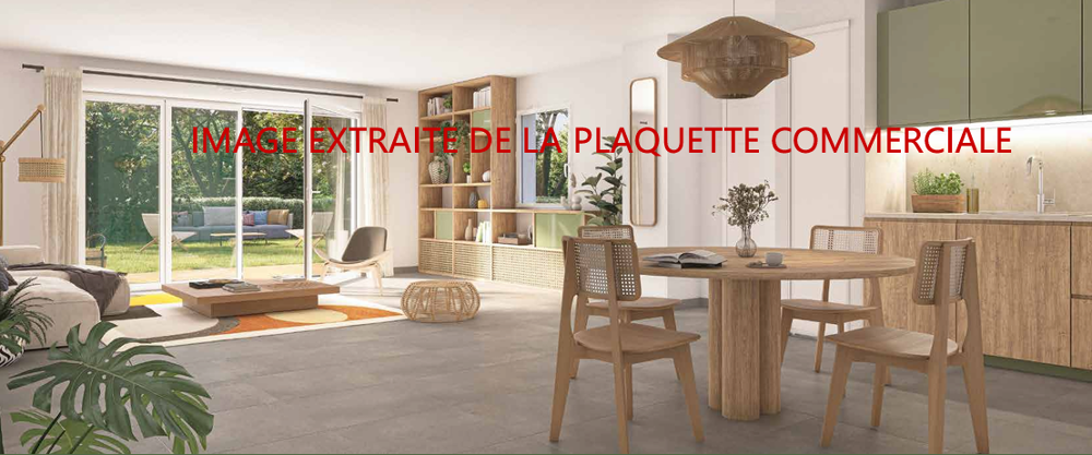 N20DFPP 3 PIECES ANGERS (49000) Livraison : mars 202....