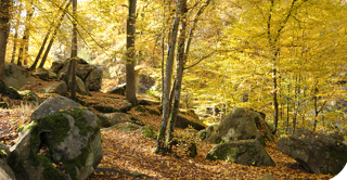  Appartement � vendre 3 pi�ces 64 m�