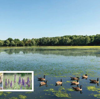  Appartement � vendre 4 pi�ces 130 m�