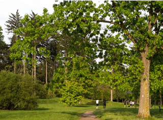  Appartement  vendre 5 pices 140 m