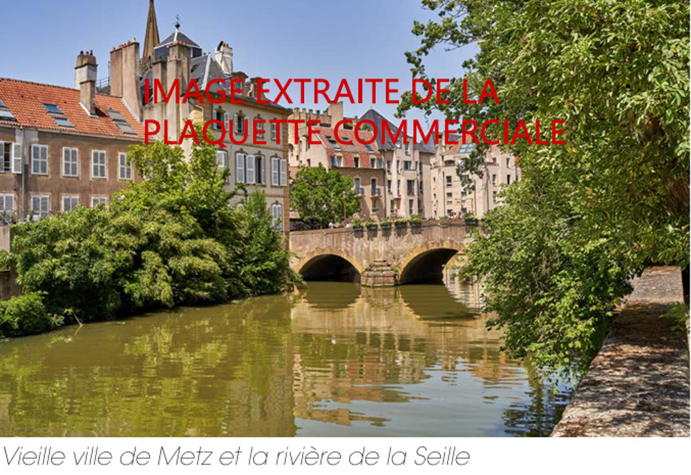 NFD377UT 3 PIECES METZ (57000) 11 Livraison : juille....