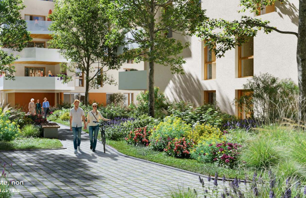   Cholet (49300)