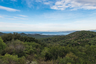  Appartement � vendre 2 pi�ces 49 m�