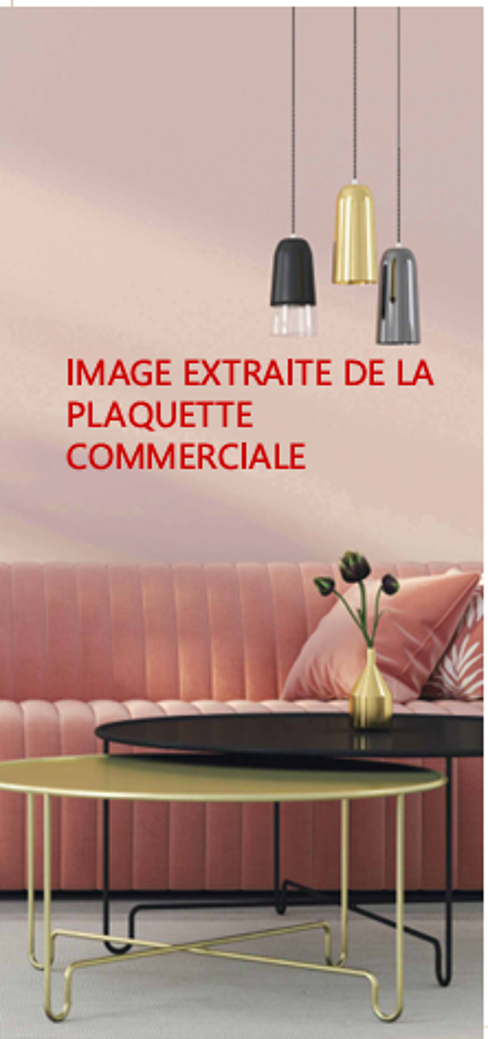 V598PLM 2 PIECES THIAIS (94320) 18 Livraison : octob....