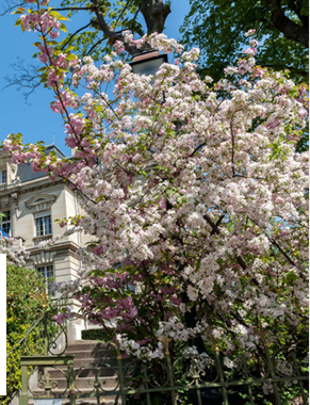   Vanves (92170)